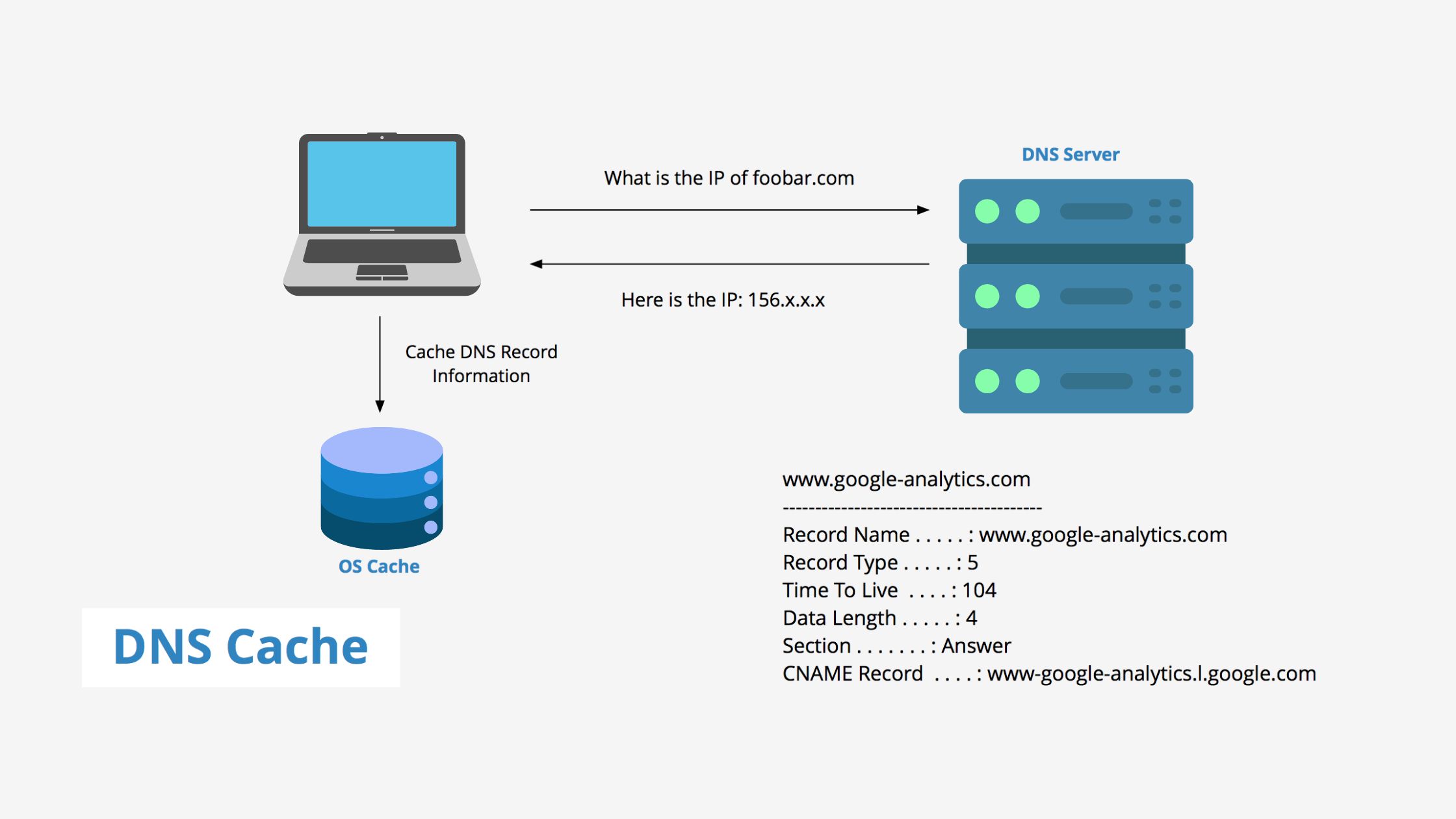 DNS Server