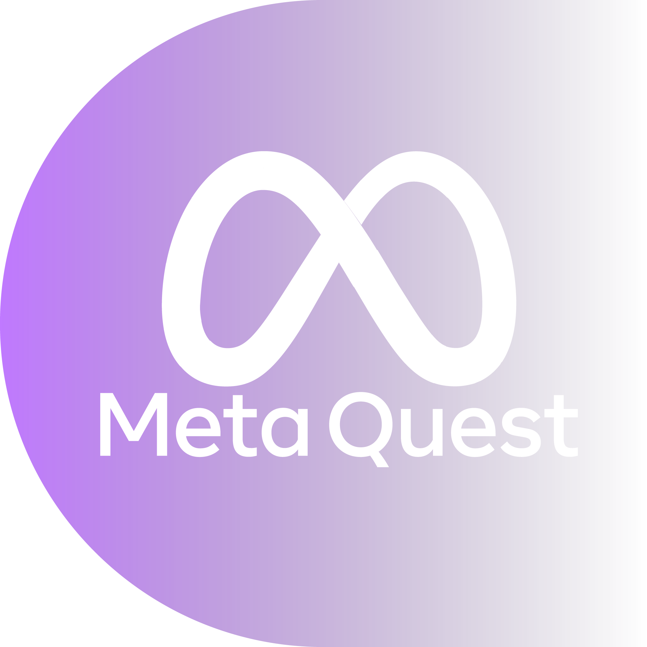 Best VPN for Meta Quest